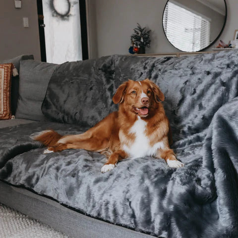 Waterproof Pet Blanket