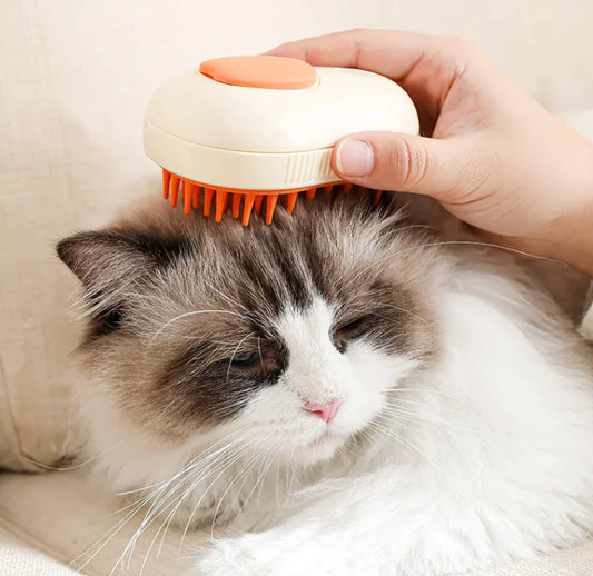 Steam Pet Brush